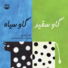 گاو سفید ، گاو سیاه